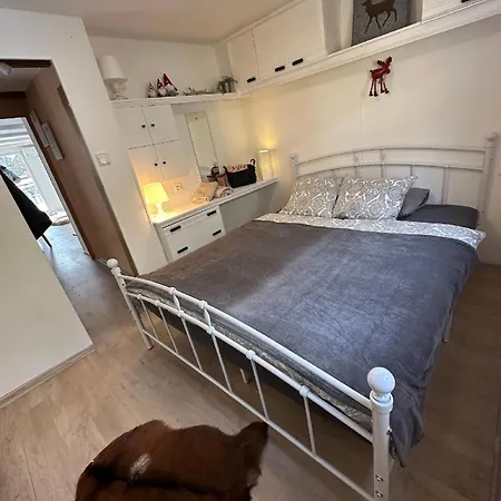 Ferienhaus House Buxusson Budweis