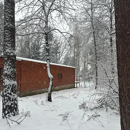 House Buxusson * Ceske Budejovice